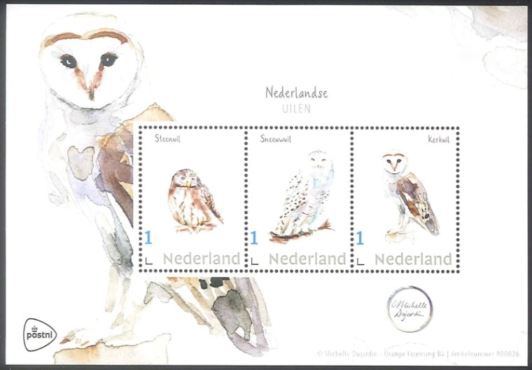 ���������ݥ��ȥ��åȡ��Զ���(1)