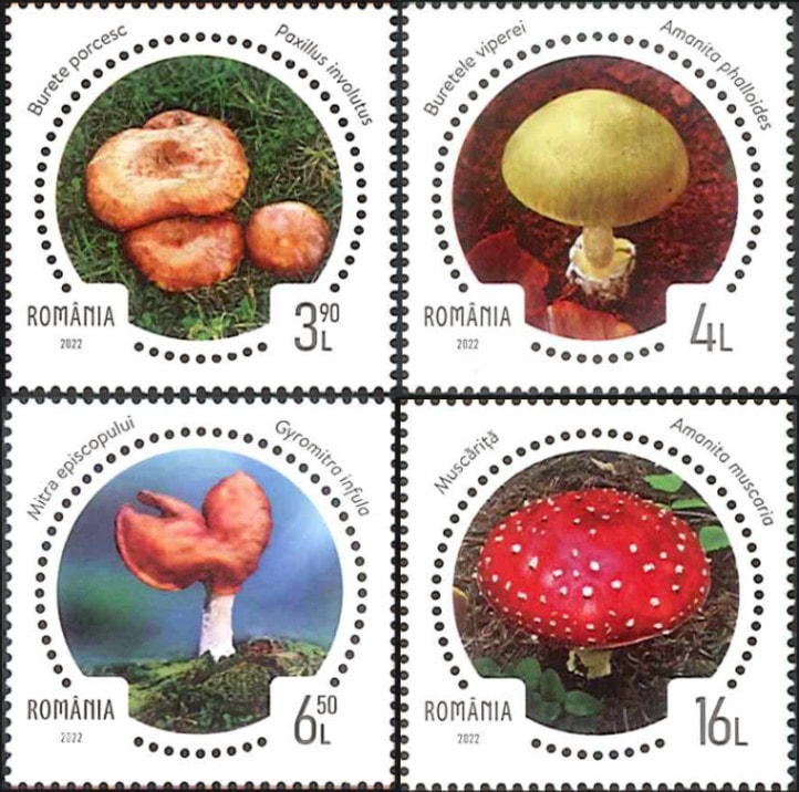 �롼�ޥ˥����ǥ��Υ���4��