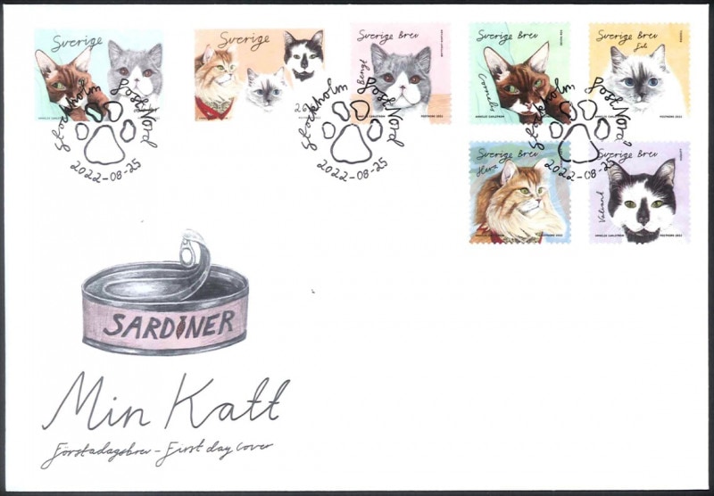 ���������ǥ󡧻�Υͥ�FDC(1)