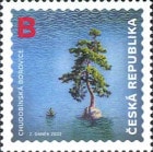 �������������ݸ�2022��1��ChudopinPine