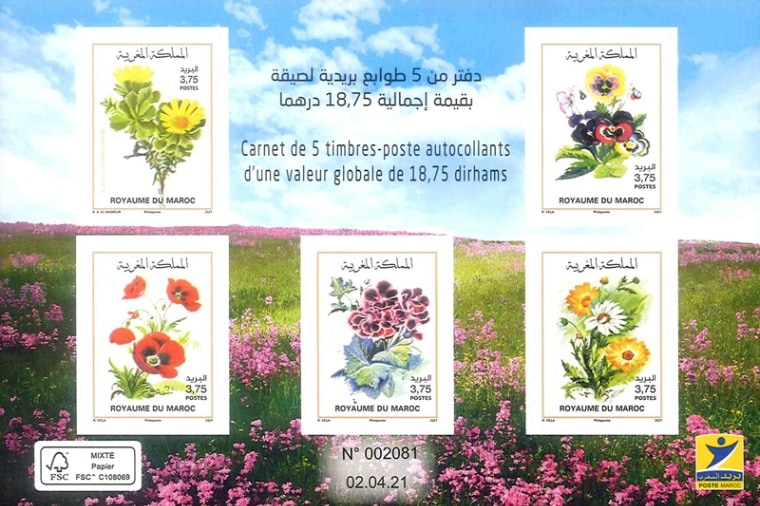 ��SALE�ۥ���å�����S/S(1)����ո�