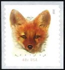 ����ꥫ���ᡧ�������ĥ͡��������1��