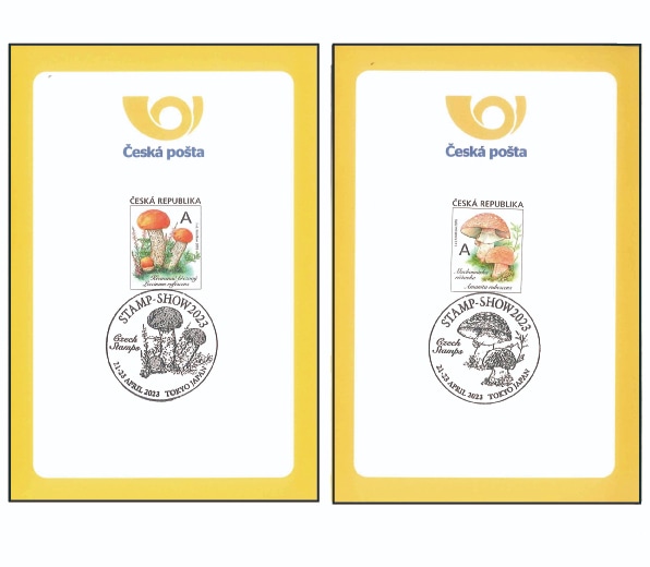 ������ץ��祦2023�������������åȡ�2��