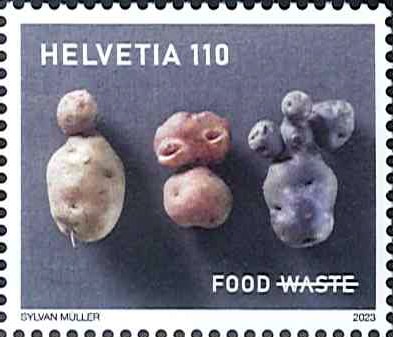 ����������³��ǽ��-���� (1)