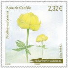 ����ɥ顨�����襦����Х�������1��