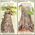 �ޥ졼����������Υ����󥬥���ڡ�2��