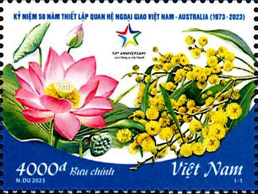 ٥ȥʥࡧȥꥢȤν50ǯ1