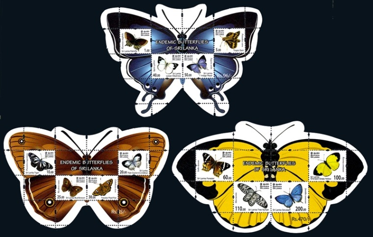 SALEۥ󥫡󥫤ĳS/S(3)