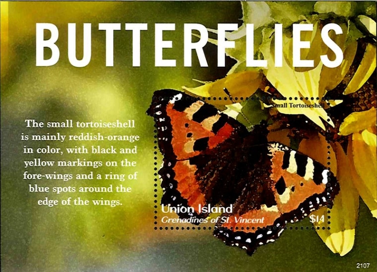 ��˥����硧ĳS/S(1)