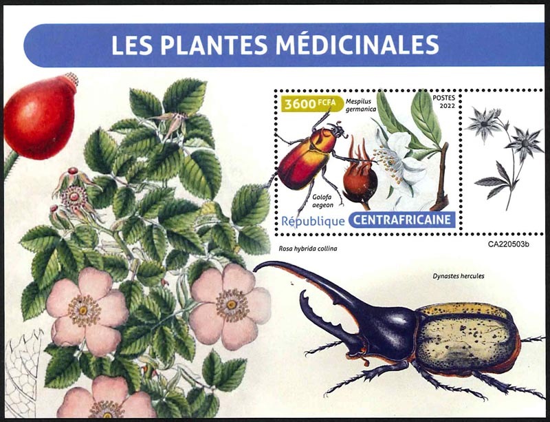 ������եꥫ�����ѿ�ʪS/S(1)