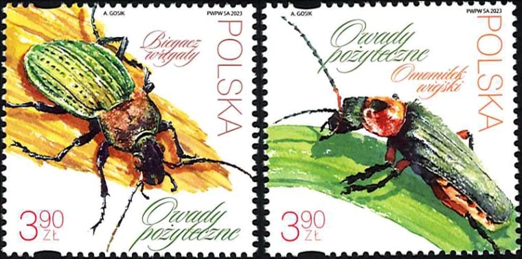 �ݡ����ɡ������2��