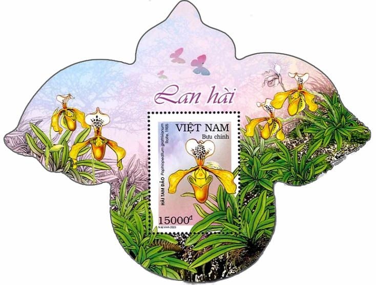 �٥ȥʥࡧ���S/S(1)