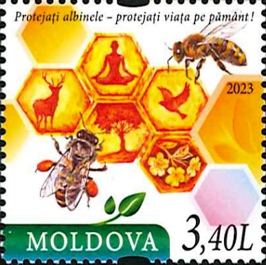 ���ɥС��ߥĥХ���1��