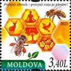 ���ɥС��ߥĥХ���1��