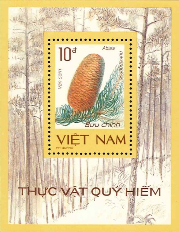 SALEۥ٥ȥʥࡧڤμS/S1