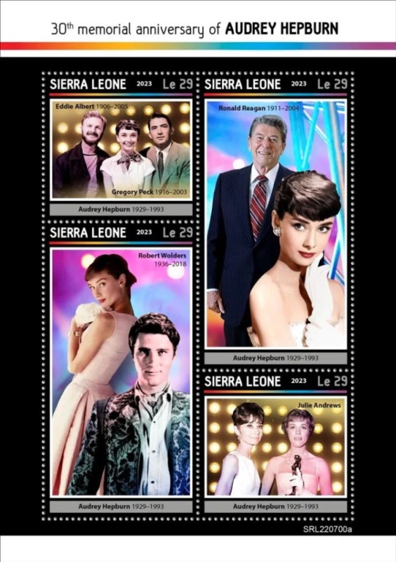 ������쥪�͡������ɥ꡼���إåץС����׸�30ǯ M/S (1)