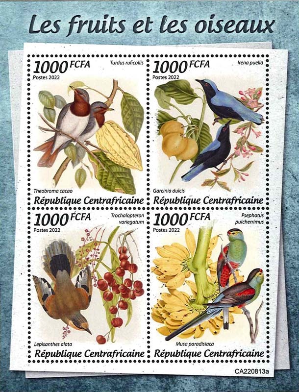 ������եꥫ����ʪ��ĻM/S(1)