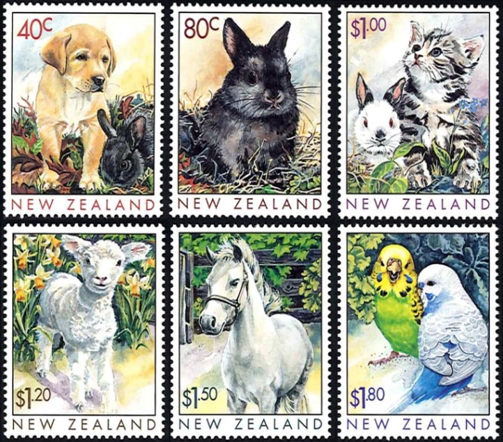 �˥塼�������ɡ�����ưʪ(6)