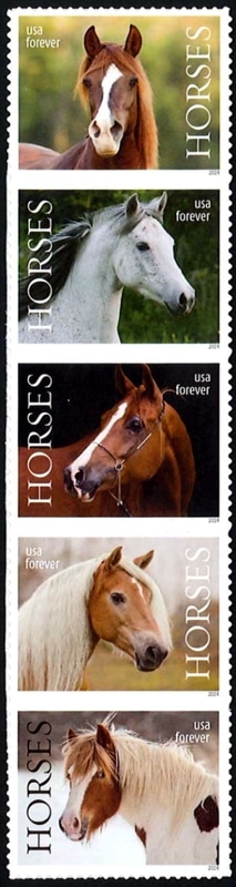 ����ꥫ����(5)��Ϣ��