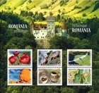 �롼�ޥ˥����������롼�ޥ˥�M/S(1)