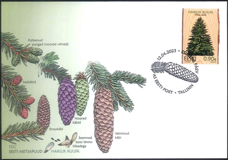 �����ȥ˥�������FDC(1)