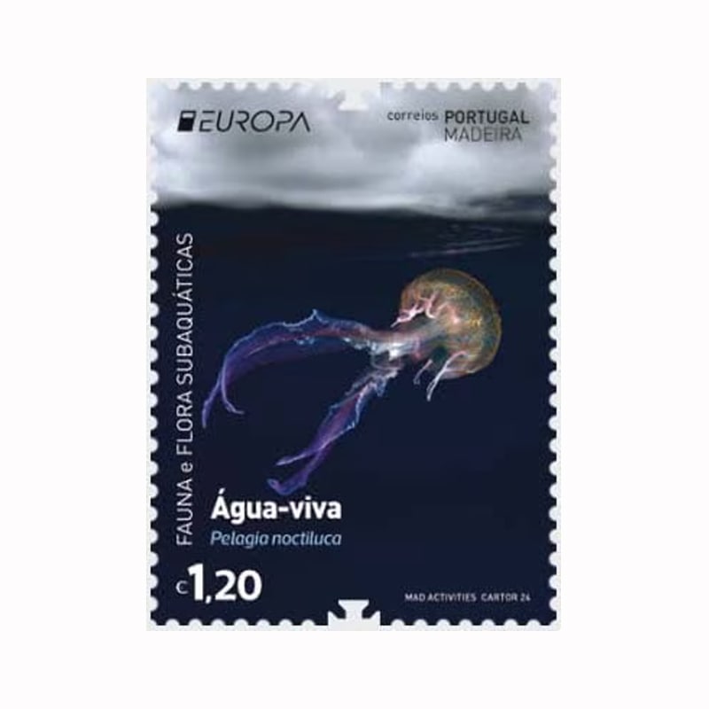 �ޥǥ��顧�衼���å�2024-�����ư��ʪ(1)
