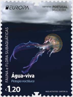 ޥǥ顧衼å2024-ưʪ(1)