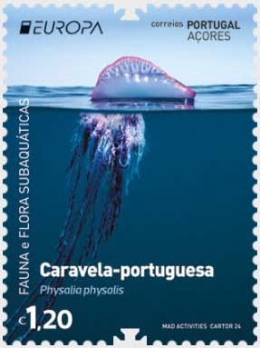 쥹衼å2024-ưʪ(1)