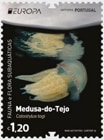 ݥȥ롧衼å2024-ưʪ(1)
