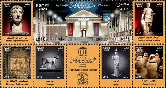 �����ץȡ����쥳�����ޥ���ʪ��M/S(1)