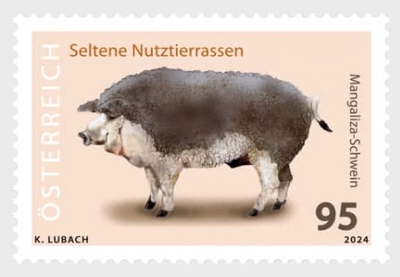 �������ȥꥢ���֥�(1)