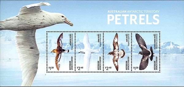 �����������:�ߥ��ʥ��ɥ�M/S(1)