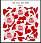 ե󥹡ϡڼ2025ݥԥ롦ᡦѥM/S(1