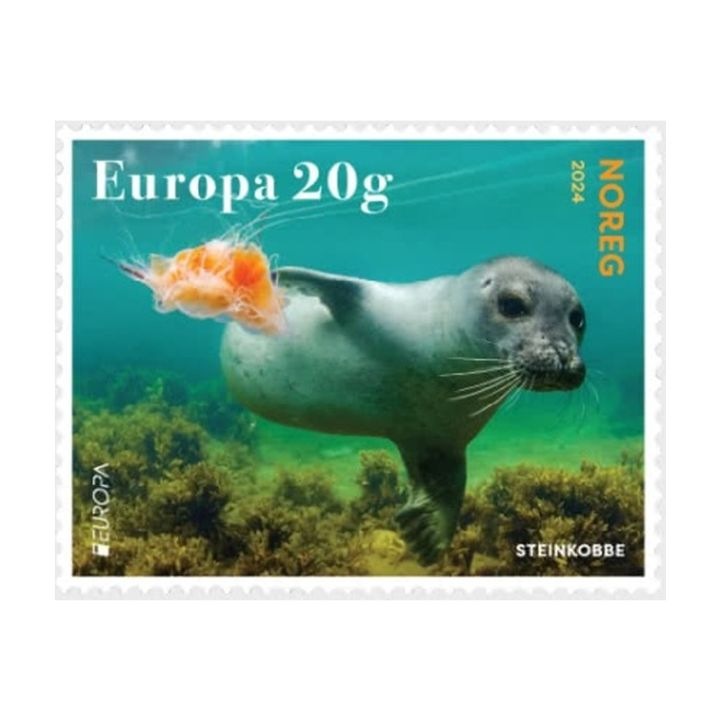 �Υ륦�������衼���å��ڼ�2024-�����ư��ʪ(1)����ո�