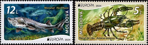 ���ɥС��衼���å��ڼ�2024-�����ư��ʪ(2)