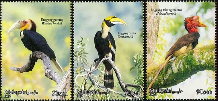 �ޥ졼�������������祦�ʣ���