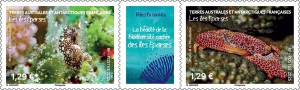 ʩ������������ϰ衧��ʪ¿����(2)Ϣ��������