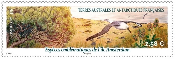 ʩ������������ϰ衧���ॹ�ƥ�������ư��ʪ(1)