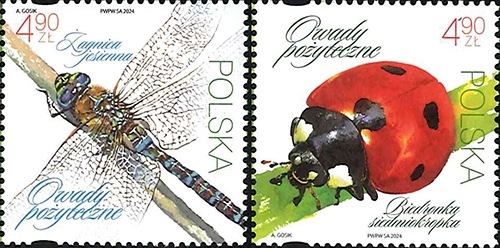 �ݡ����ɡ�����(2)