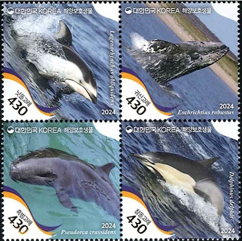 �ڹ�:�����ݸ���ʪ/������(4)�ķ�