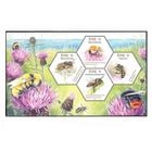 ��������ɡ��ߥĥХ�S/S(1)