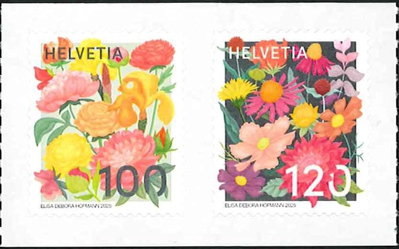 ������������β�(2)����ո�