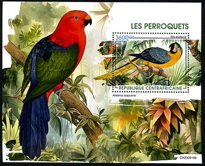 ������եꥫ������S/S(1)