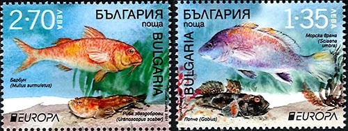 ֥륬ꥢ衼åڼ2024(2)