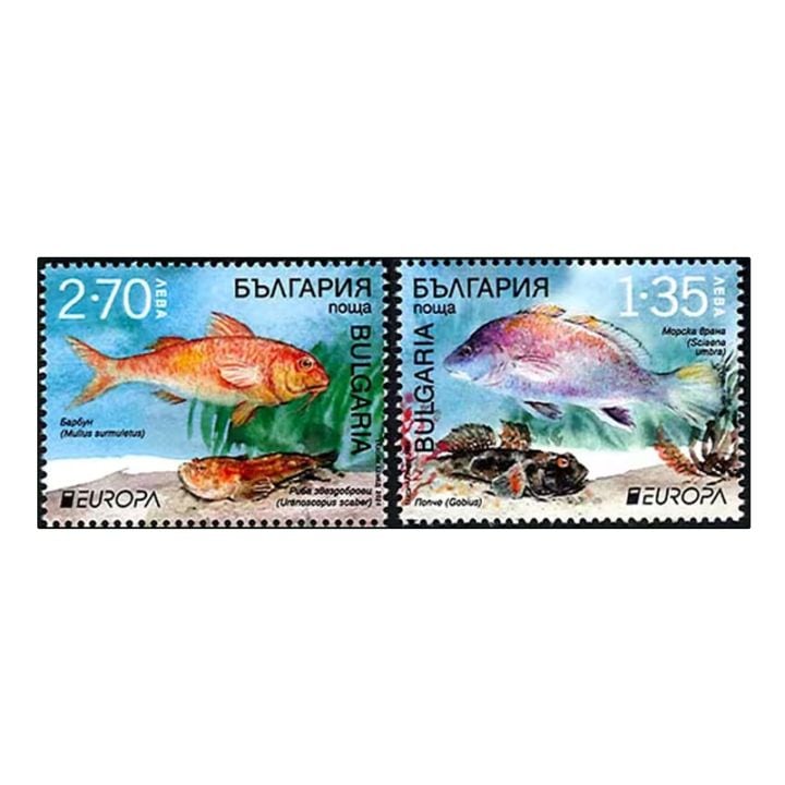 �֥륬�ꥢ���衼���å��ڼ�2024(2)