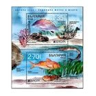 �֥륬�ꥢ���衼���å��ڼ�2024S/S(1)