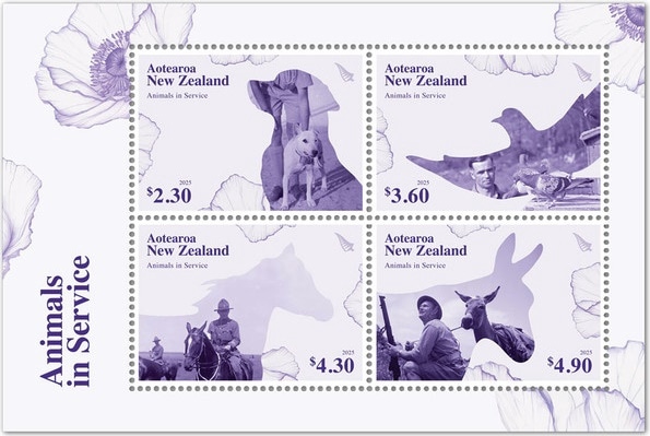 �˥塼�������ɡ�����ưʪM/S(1)