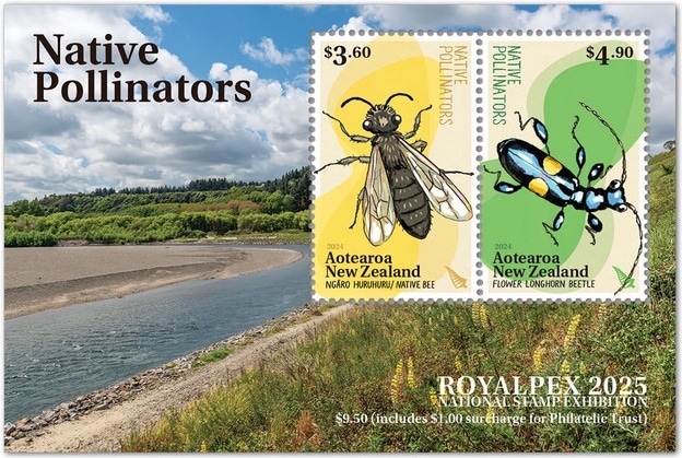 �˥塼�������ɡ�������롦�ڥå���2025M/S(1)�ղö���