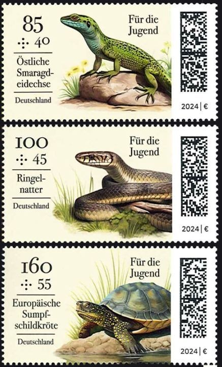 ɥġľǯΤ2024-ξ(3)ղö