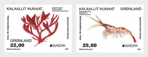 ���꡼����ɡ��衼���å��ڼ�2024(2)